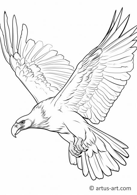 Vulture in Flight Coloring Page